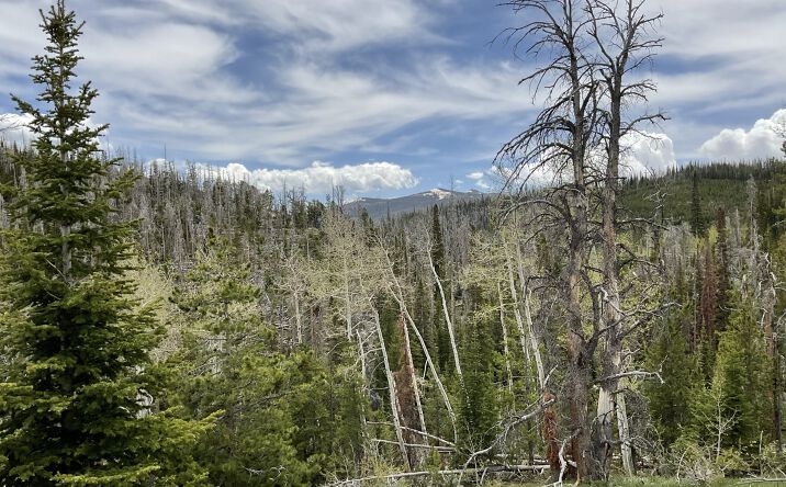 image of property at DILLON Encampment WY 82325