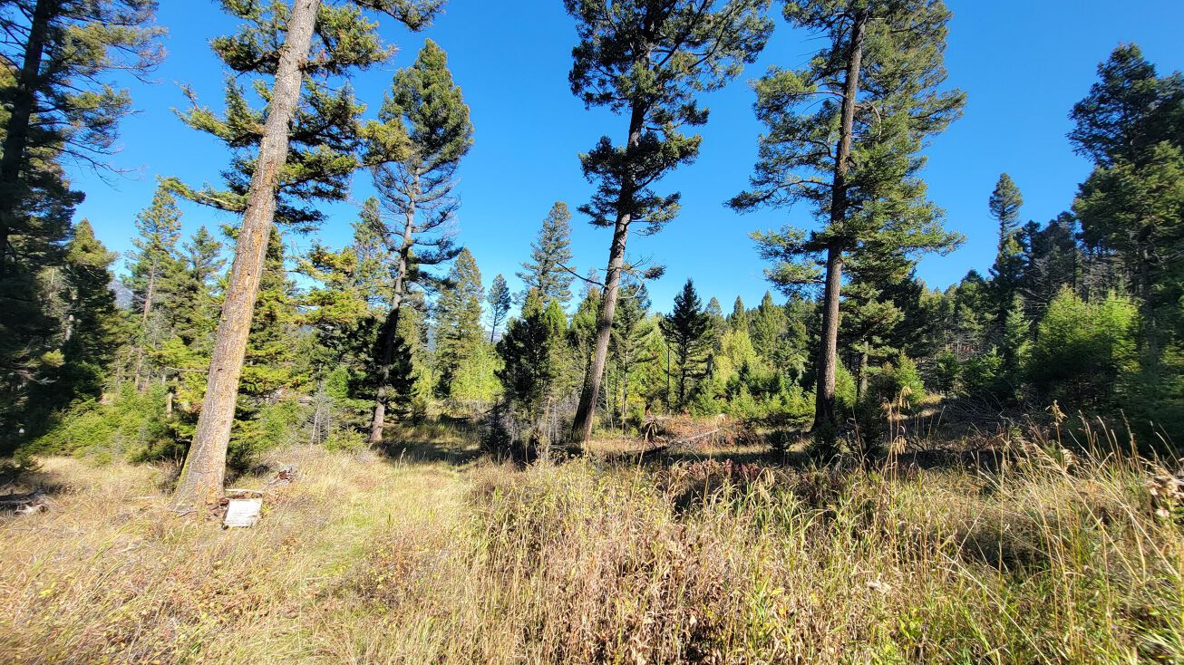 323 Trails End Lane, Helmville, MT 59843