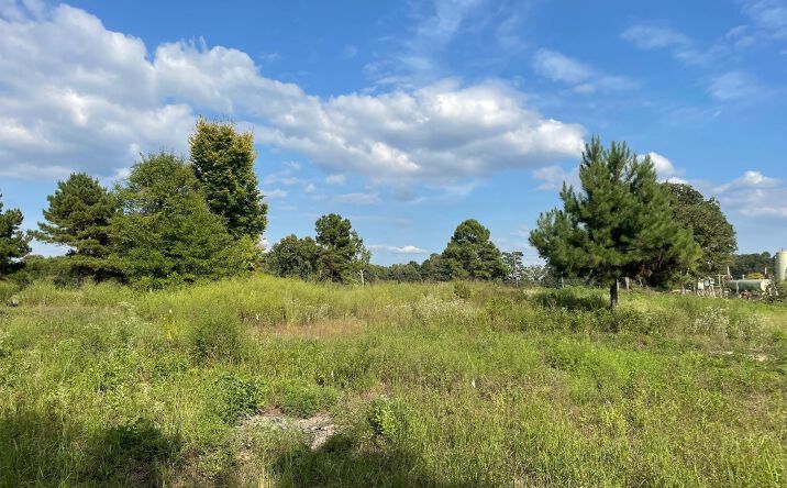 Pictures of Land property located at North Point Pleasant Rd, Gladewater, TX 75647 for sales - image #1