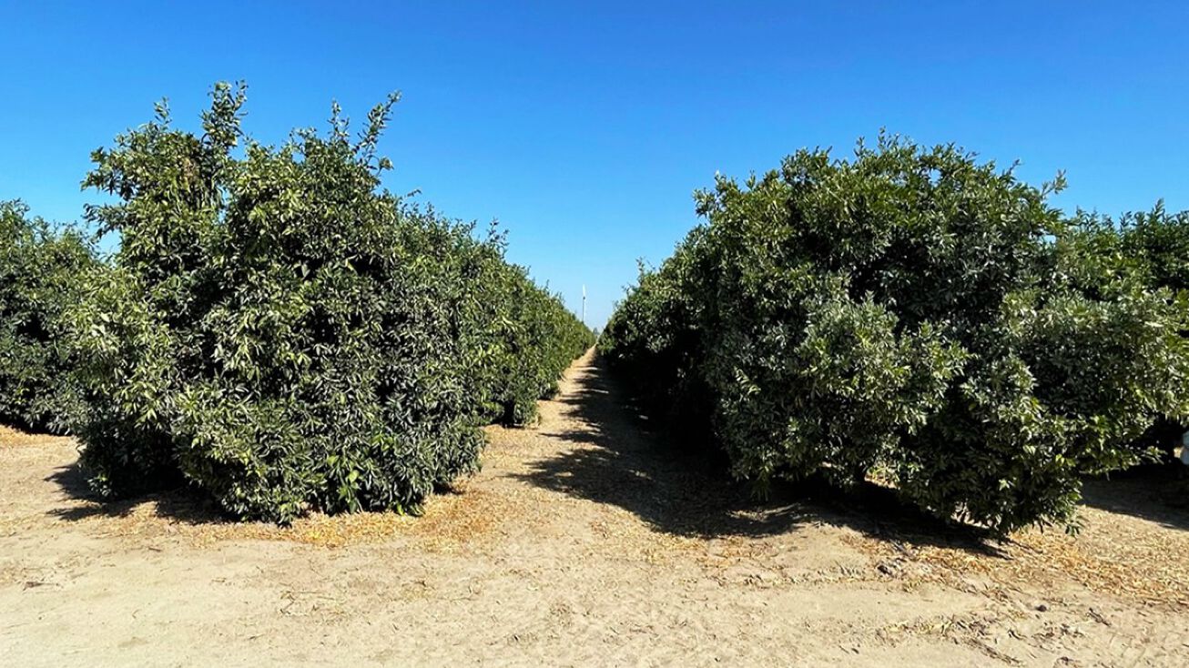 S. of Conejo Ave., W. of Kingsburg, Kingsburg, CA 93631