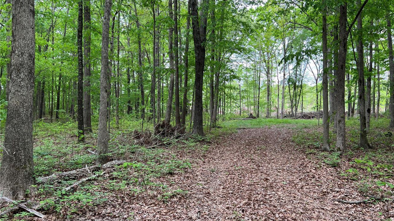 Collins Acres Rd, Fairdealing, MO 63939 Land for Sale 0 Lot 16