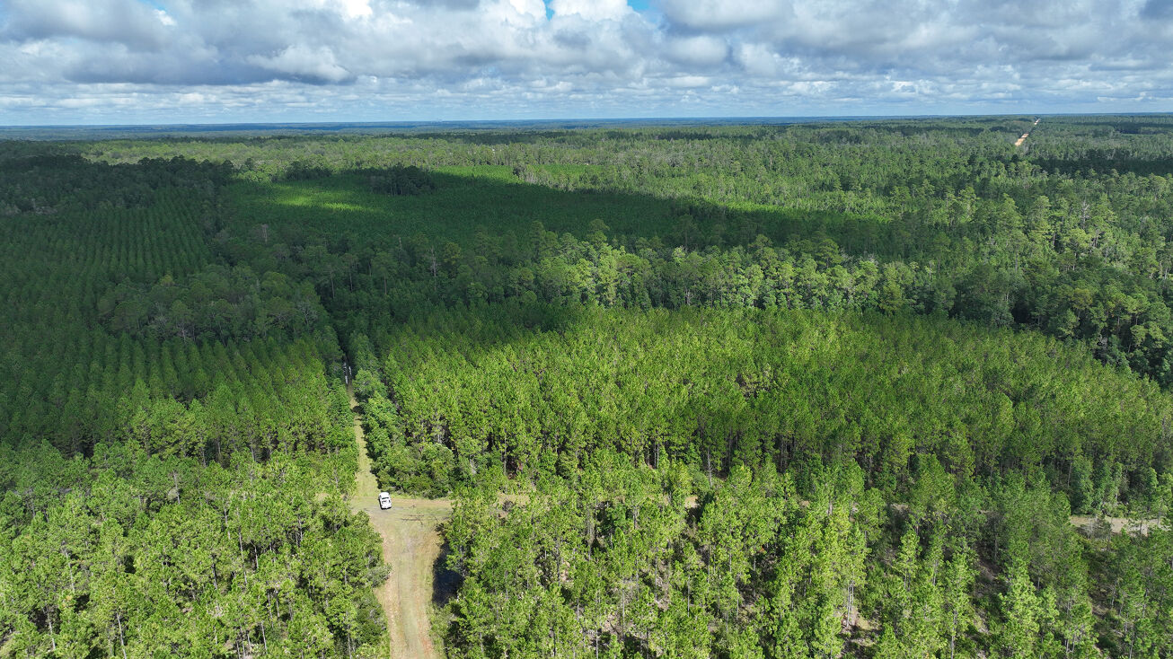 Evans Ave, Interlachen, FL 32148 Land for Sale Interlachen Timber