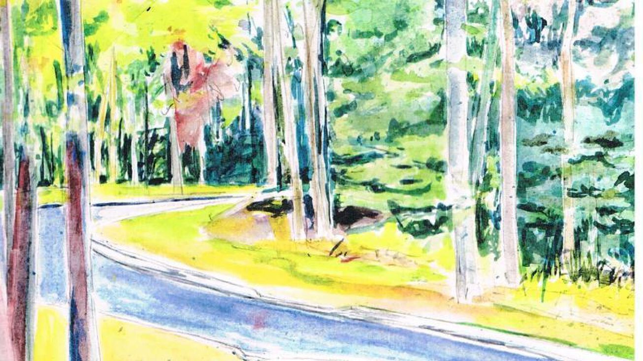 Lot 8 Devon Road, Shavertown, PA 18708 Land for Sale Lot 8 Devon Road