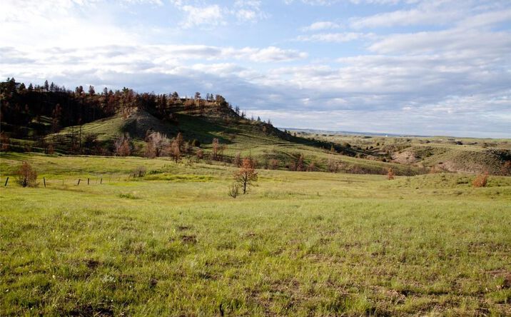 Pictures of Land property located at Pryor Creek Rd - Lot 3, Huntley, MT 59037 for sales - image #1