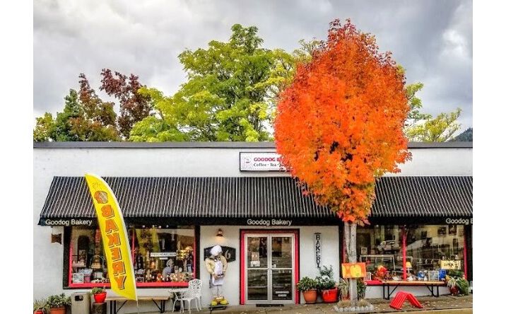 Pictures of Retail property located at 236 N Main St, Myrtle Creek, OR 97457 for sales - image #1