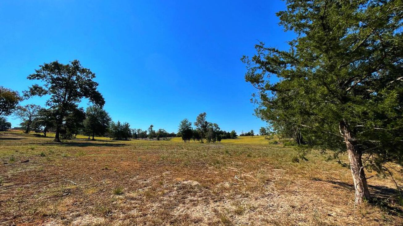 0000 CR 2012, Centerville, TX 75833