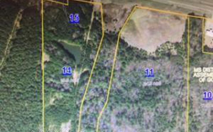 Pictures of Land property located at 000 Hwy 16 West, Philadelphia, MS 39350 for sales - image #1