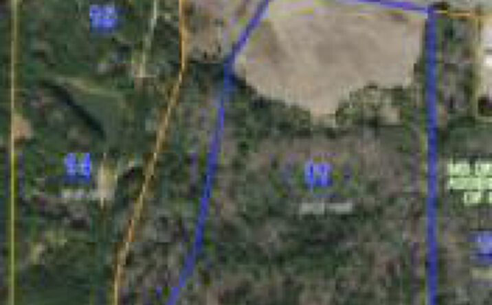 Pictures of Land property located at 0000 Hwy 16 West, Philadelphia, MS 39350 for sales - image #1