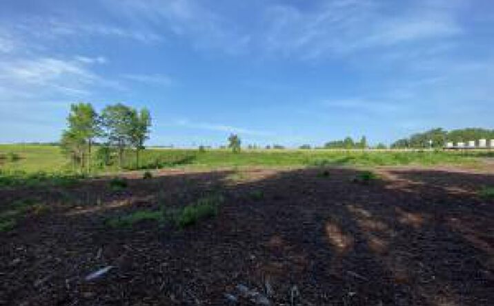 Pictures of Land property located at 0000 Jimmy Rodgers, Meridian, MS 39301 for sales - image #1