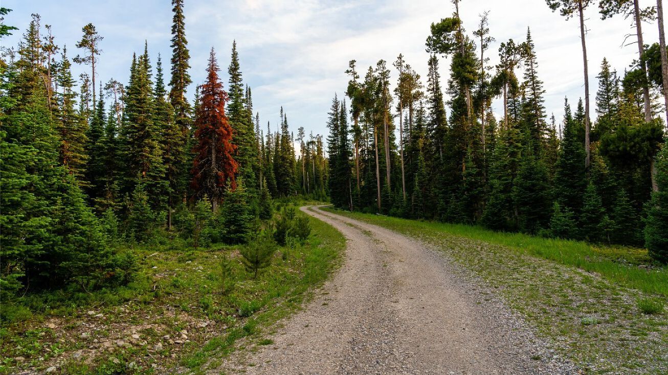 Big EZ Lot 34 Doolittle Drive, Big Sky, MT 59716 Land for Sale Big