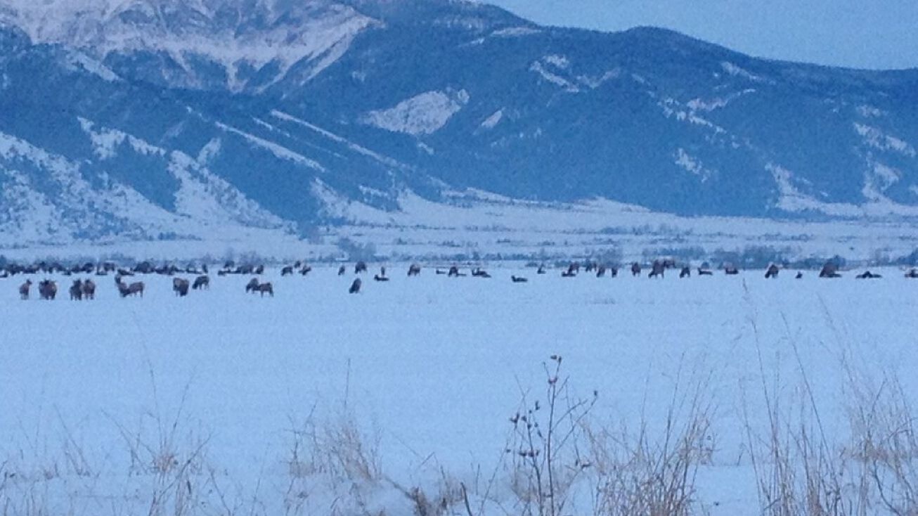 Penwell Bridge Rd, Belgrade, MT 59714 Land for Sale TBD Penwell Bridge