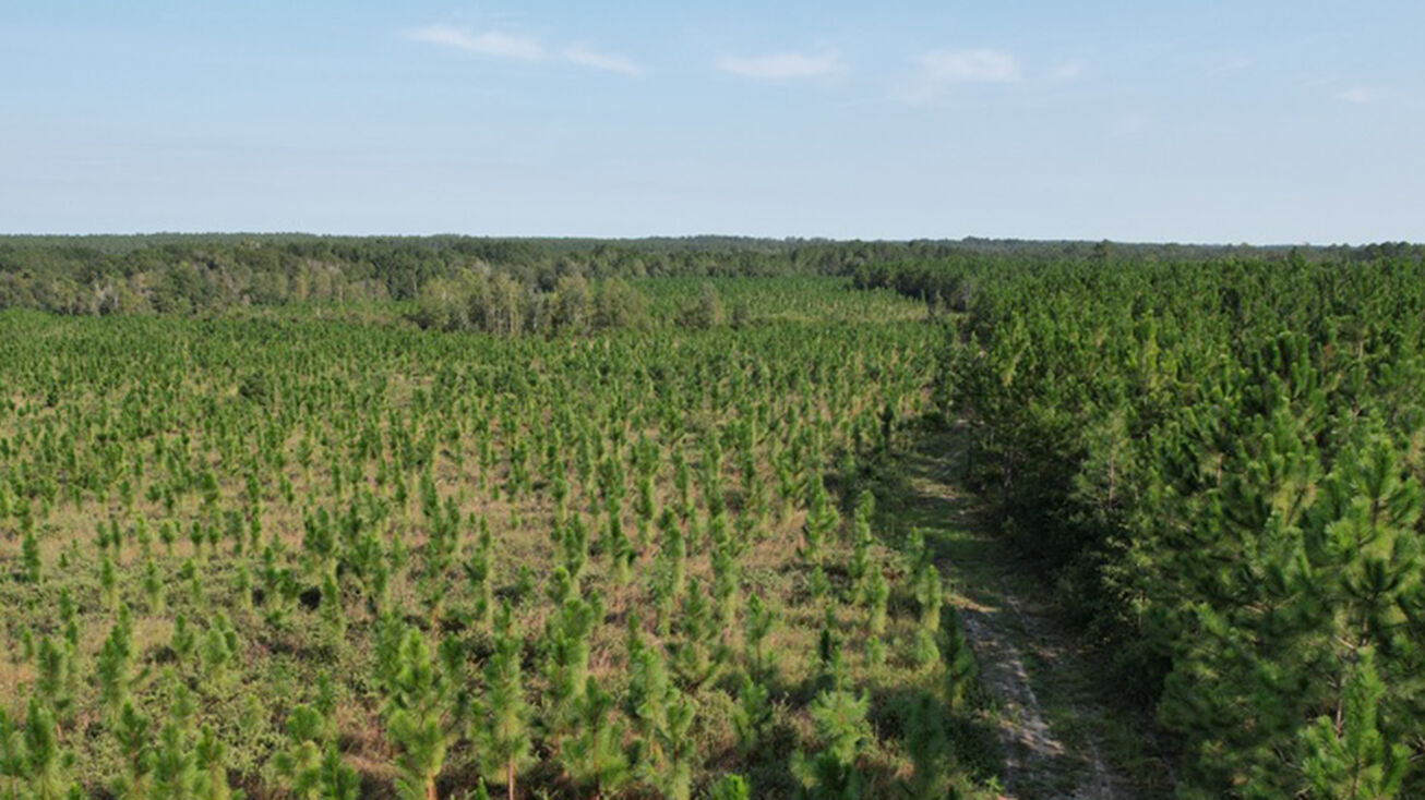 Hebron Church Rd, Willacoochee, GA 31650