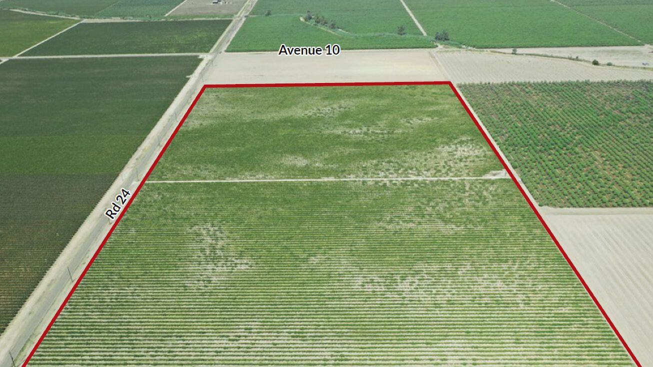 9639 Rd 24, Madera, CA 93637 Land for Sale 57.73 Acs. La Vina M.I.D. Vineyard