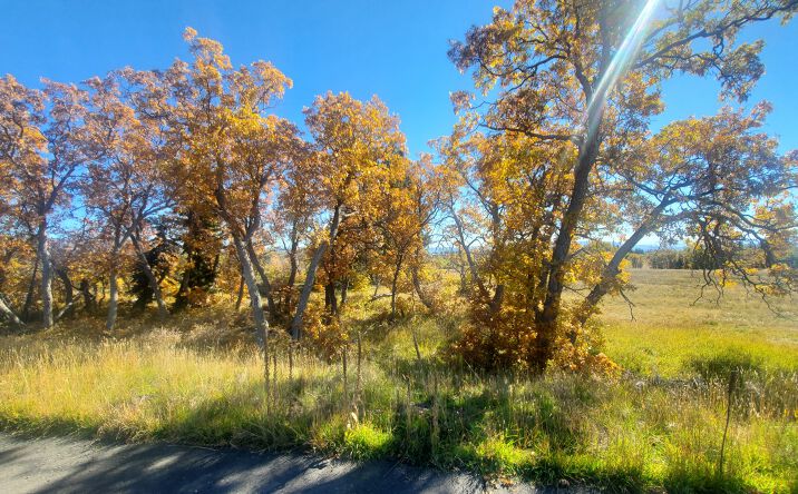 Pictures of Land property located at Spring Dr, Virgin, UT 84779 for sales - image #1