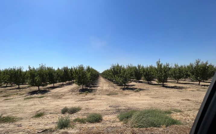 Pictures of Land property located at 14899 Avenue 295, Visalia, CA 93277 for sales - image #1