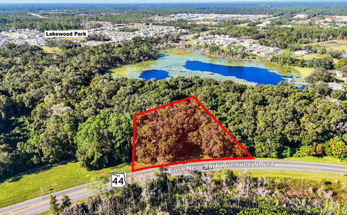 Pictures of Land property located at SR 44, Deland, FL 32724 for sales - image #1