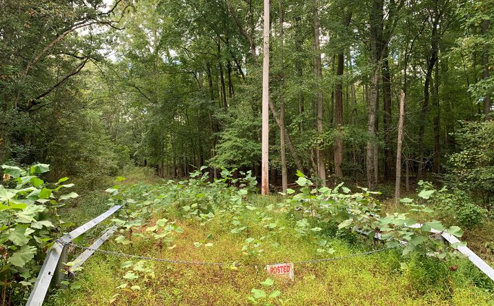 Pictures of Land property located at 280 Braddock Mill Rd, Evesham, NJ 08053 for sales - image #1