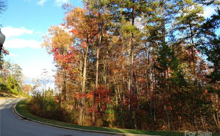 Pictures of Land property located at Camptown Rd, Brevard, NC 28712 for sales - image #1