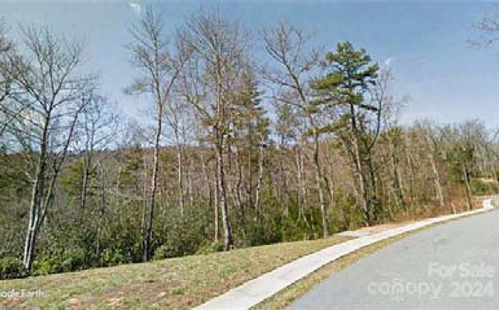 Pictures of Land property located at Springhouse Trail, Brevard, NC 28712 for sales - image #1