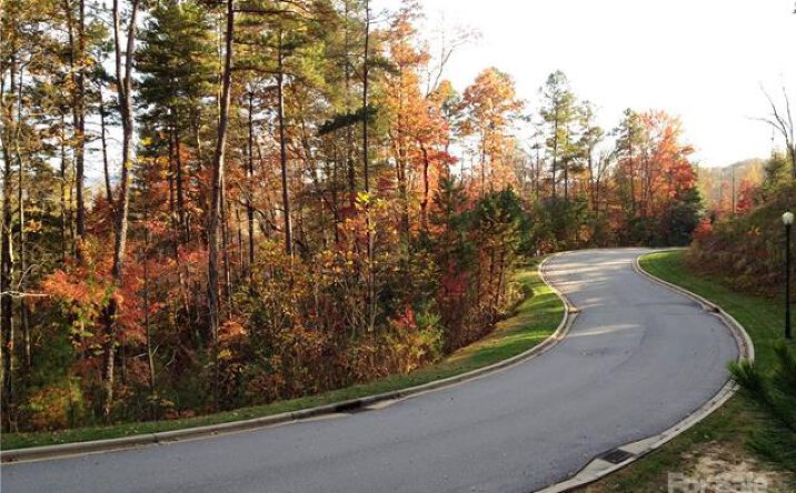 Pictures of Land property located at Camptown Rd, Brevard, NC 28712 for sales - image #1