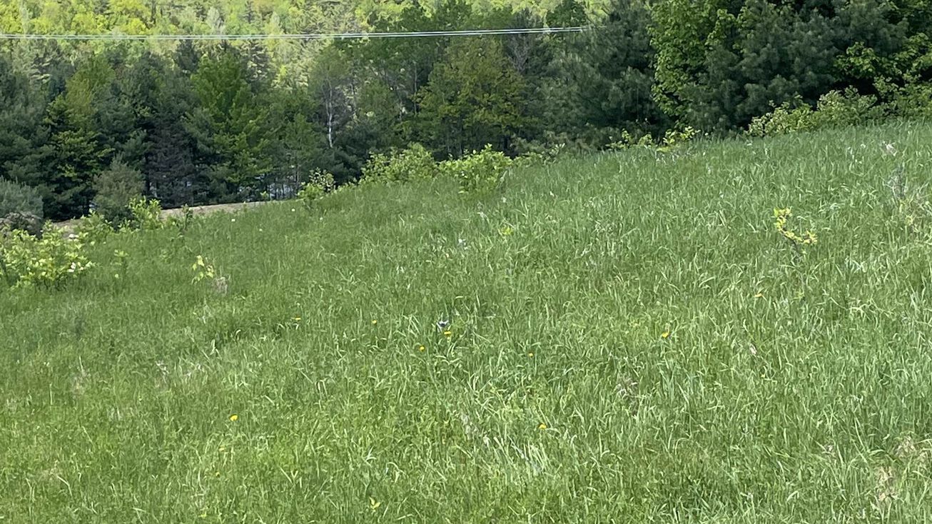 166 Williams Rd, Littleton, NH 03561 Land for Sale 166 Williams Road