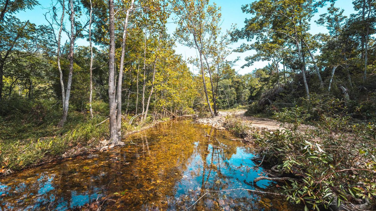 Paddy Chapel Rd, Roby, MO 65557