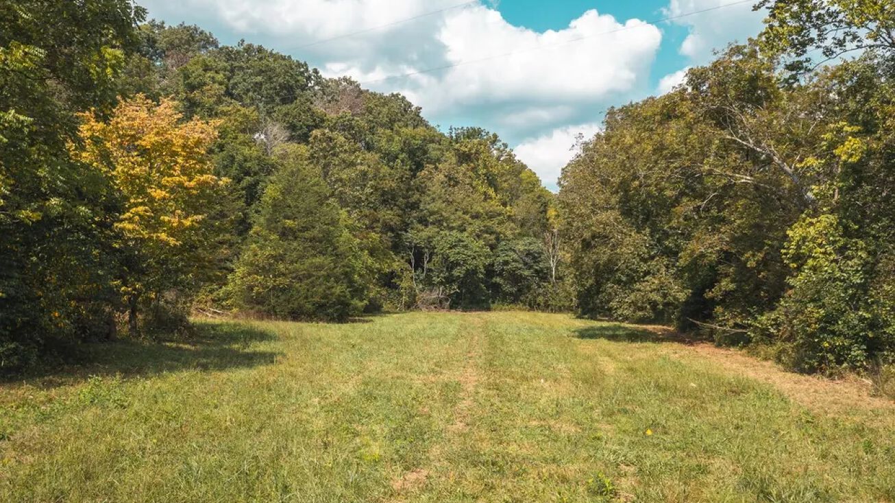 TBD Paddy Chapel Road Tract 2, Roby, MO 65557