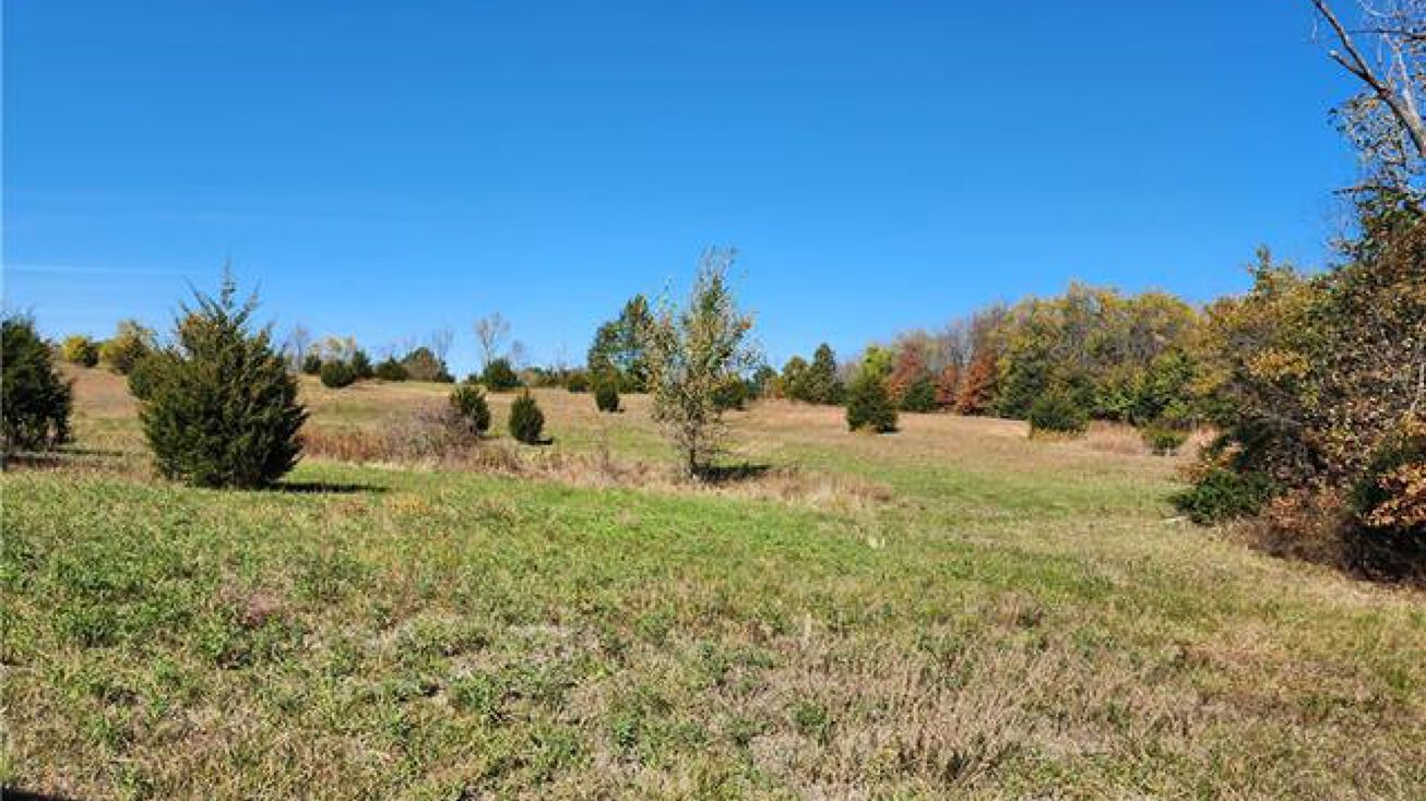 Forrest Street, Cameron, MO 64429 Land for Sale Forrest Street