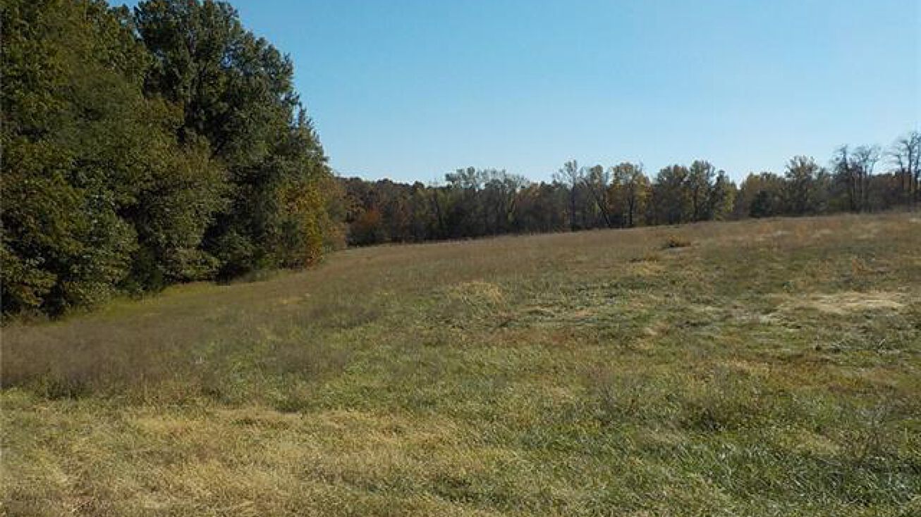 1XX SE 250 Road, Warrensburg, MO 64093