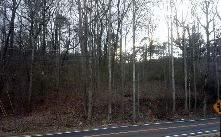 Pictures of Land property located at 7231 Parkway Dr, Leeds, AL 35094 for sales - image #1