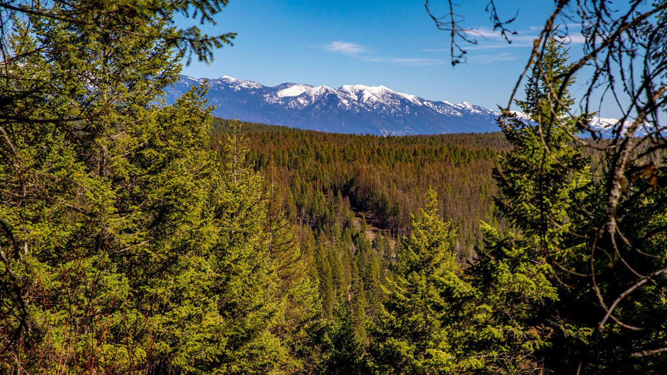 260 Antler Ridge Road, Whitefish, MT 59937