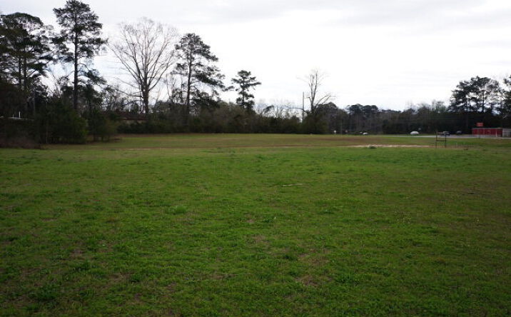 Pictures of Land property located at 3200 US-84, Cowarts, AL 36301 for sales - image #1
