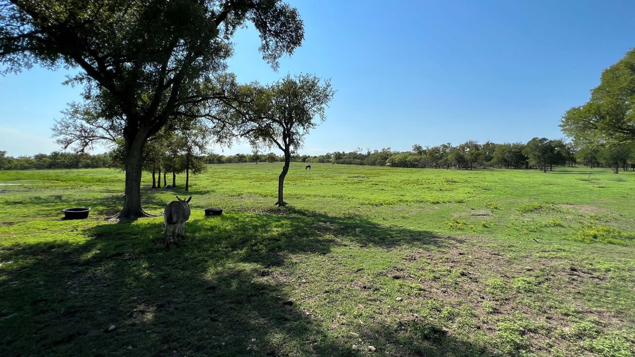 Caldvis Rd & Bock Rd, Mustang Ridge, TX 78610 Land for Sale Caldvis