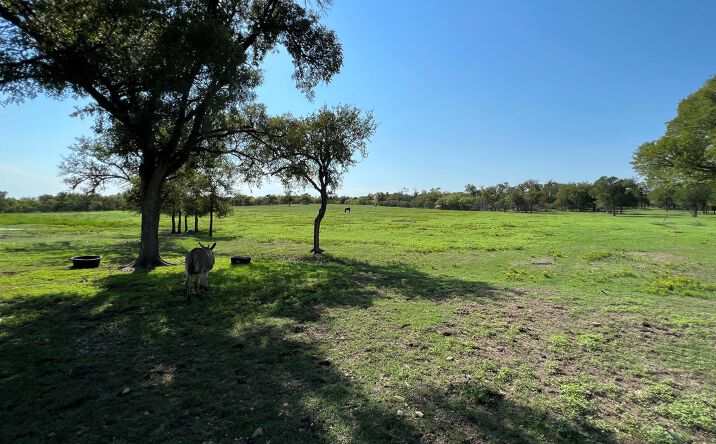 Pictures of Land property located at Caldvis Rd & Bock Rd, Mustang Ridge, TX 78610 for sales - image #1