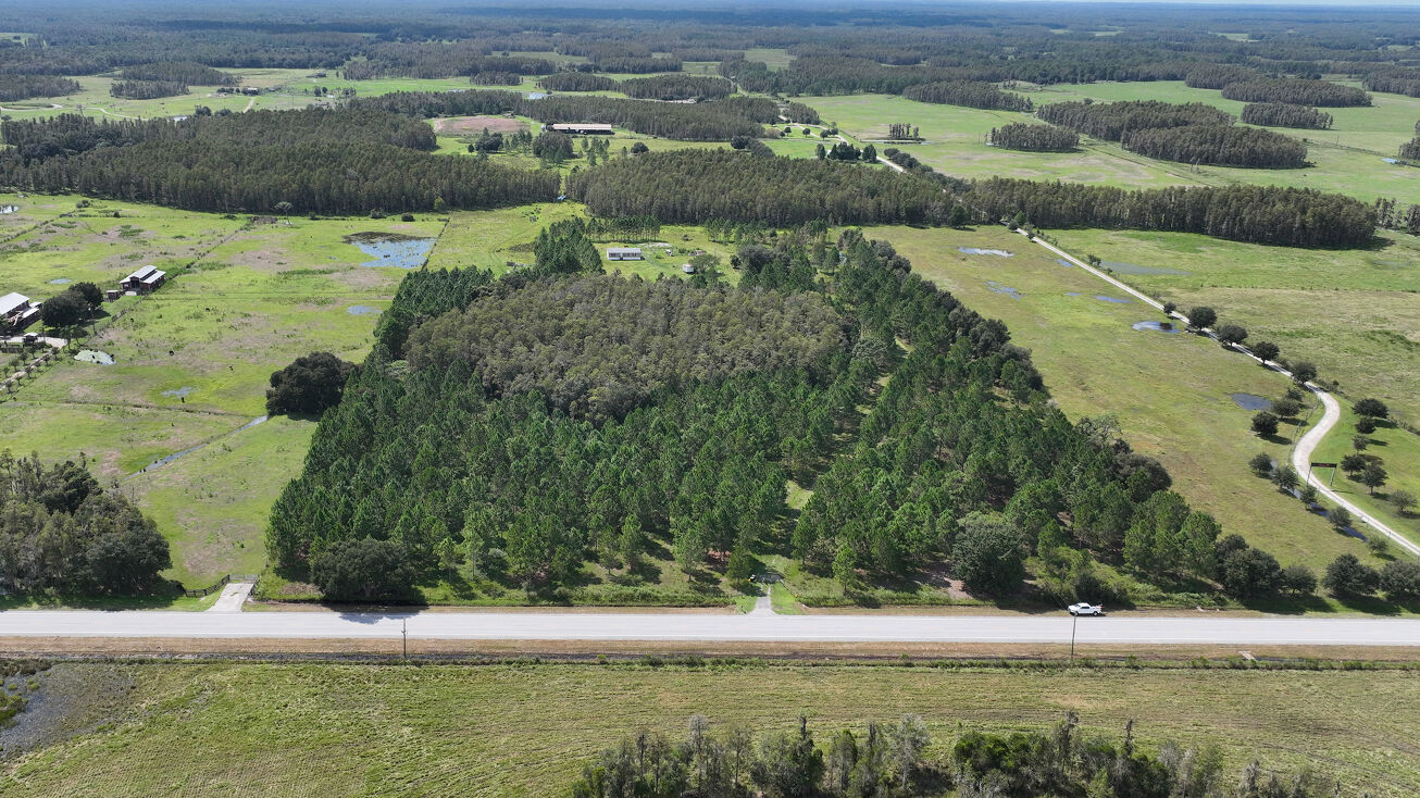 10830 Moore Rd, Lakeland, FL 33809 Land for Sale Moore Road 20 Acres