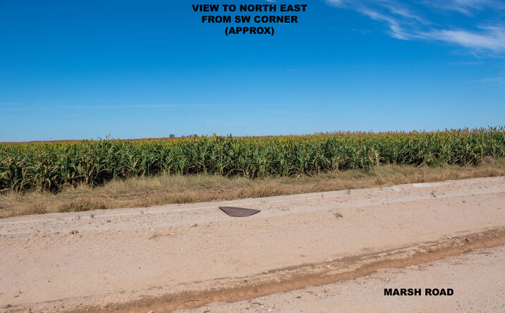 Pictures of Land property located at 32001 W Marsh Rd, Casa Grande, AZ 85193 for sales - image #1