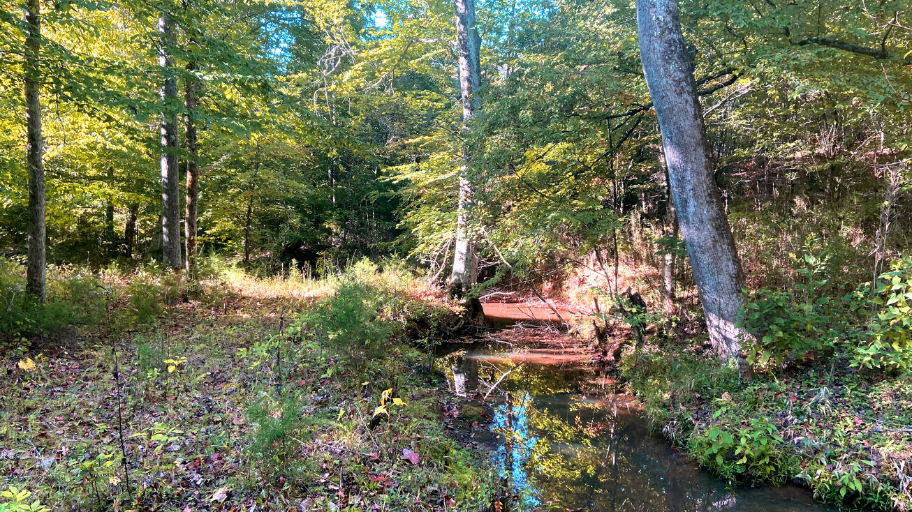 144 Craigo Road, Fountain Inn, SC 29644 Land for Sale Craigo Road Tract