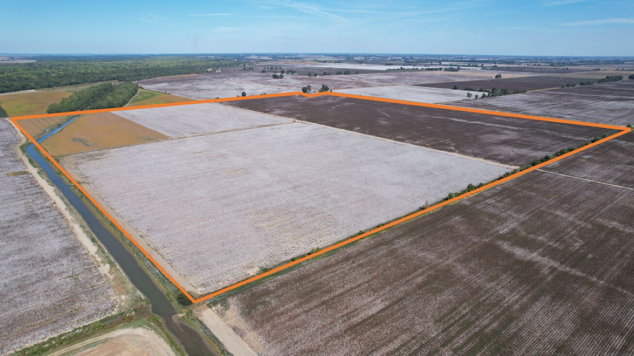 Co Rd 546/ Co Rd 531, AR 72447