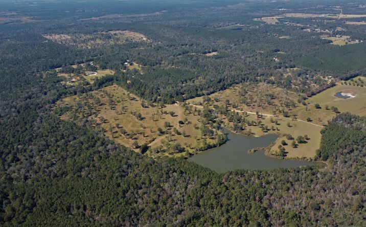Pictures of Land property located at LA-450, Folsom, LA 70437 for comps - image #1