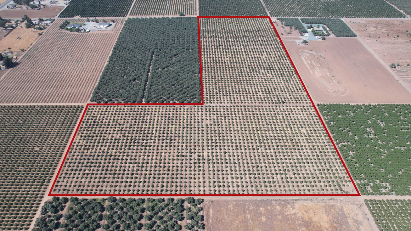Rd 196, Strathmore, CA 93267
