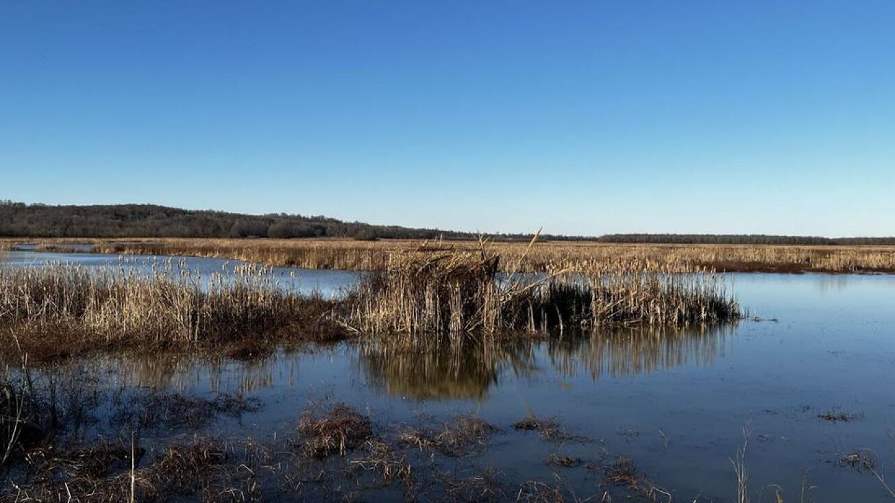 1,400 Duck Hunting, Forrest, AR 72341 Land for Sale 1,400 Duck Hunting Property