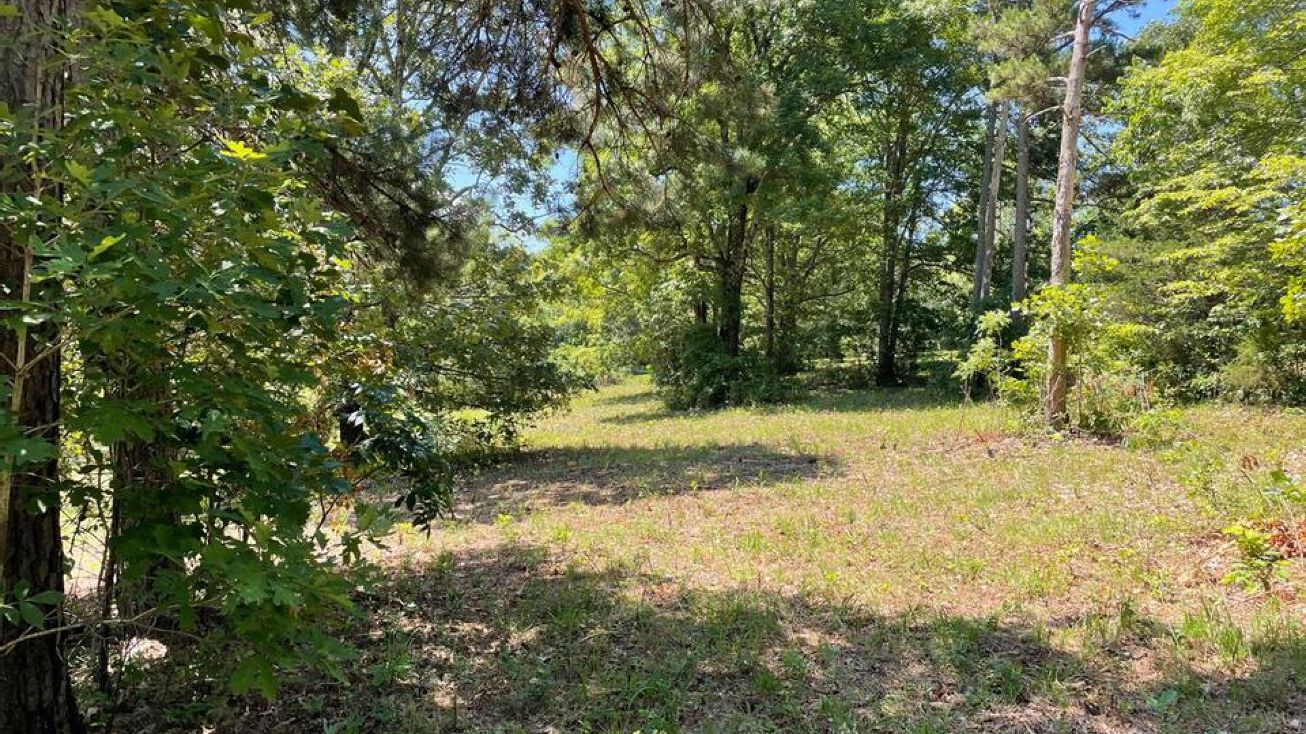 E Mountain Rd, Bee Branch, AR 72013