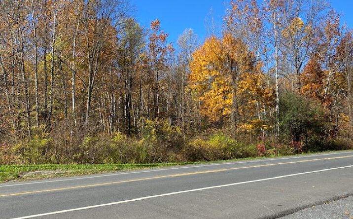 Pictures of Land property located at US-9W, Highland, NY 12528 for sales - image #1