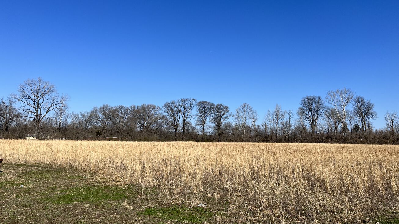 2030 Upper Finley Rd, Dyersburg, TN 38024