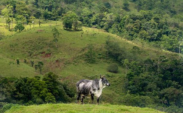 Pictures of Land property located at Nuevo Arenal, Costa Rica, MO 50807 for sales - image #1