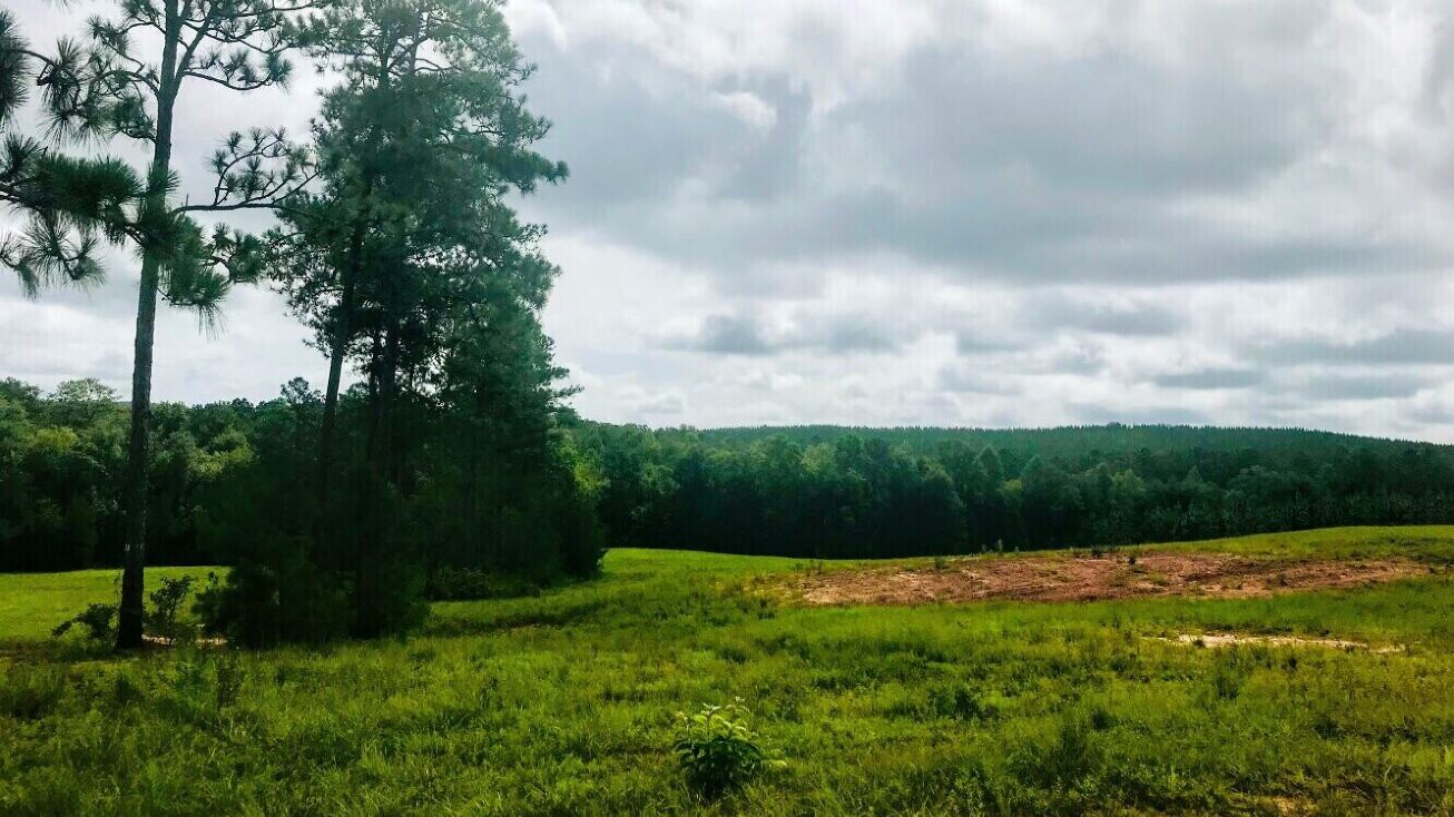 Pictures of Land property located at Highway 352, Buena Vista