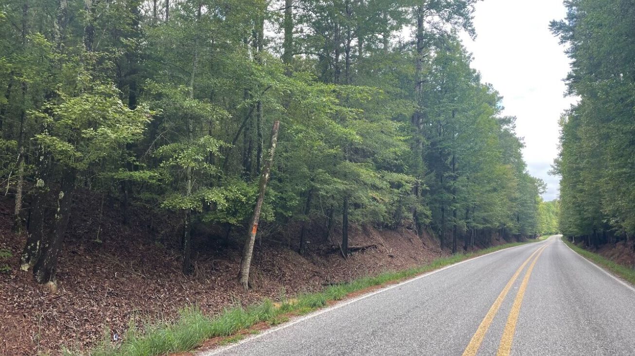 Hwy 17, Camden, MS 39045