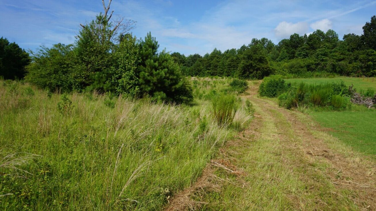 0 Bama Rock Garden Road, Vance, AL 35490