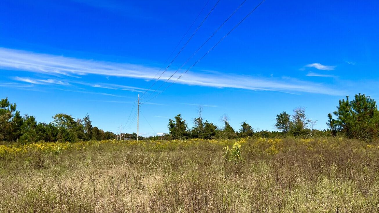 S Main St, Malvern, AL 36349 Land for Sale Malvern Development or