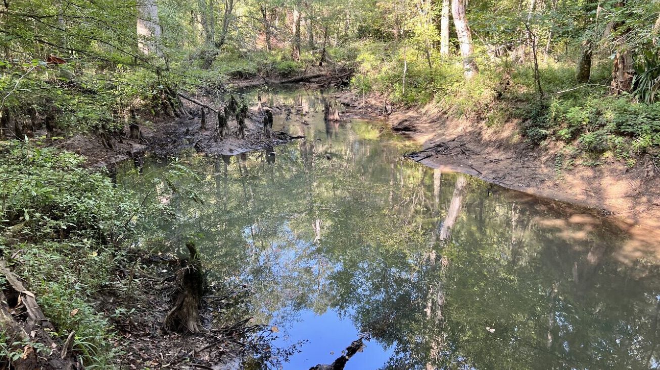 0 County Road 11 Repton, Repton, AL 36475